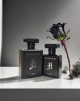 ${file-name} | Amen Fragrances